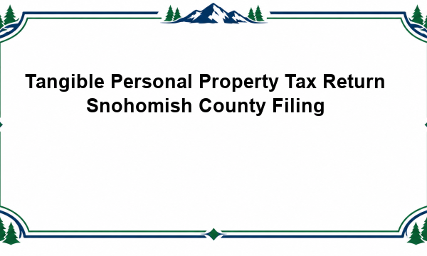 Tangible Personal Property Tax Return Snohomish County Filing